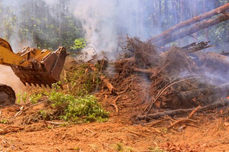 Téléchargez les photos : Préparation du terrain pour la maison de construction en brûlant des arbres déracinés - en image libre de droit