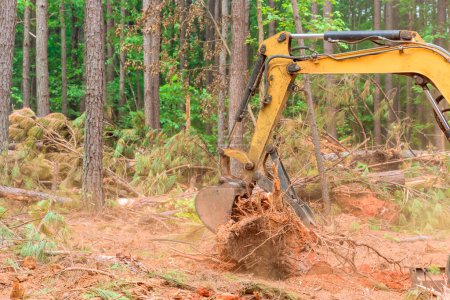 To prepare land for construction of residential complex, excavators, tractors are uprooting trees