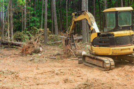 Photo for To prepare land for residential construction, excavators tractors are uprooting trees - Royalty Free Image