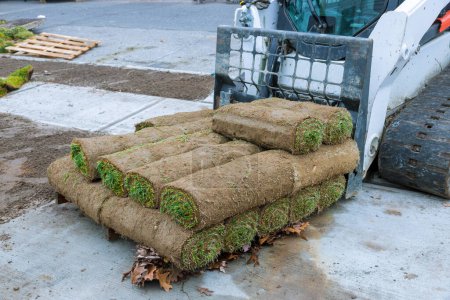 Pallet containing stacked turf grass rolls in residential landscape design