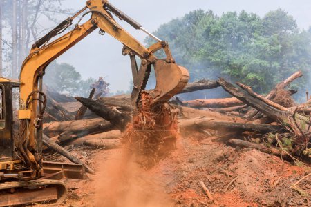 Construction of residential complex is being prepared by excavators tractors uprooting trees
