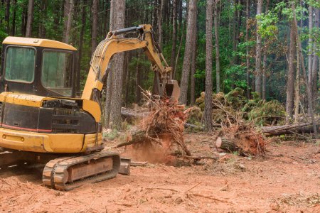 In preparation for construction of residential complex, excavators tractors are uprooting trees