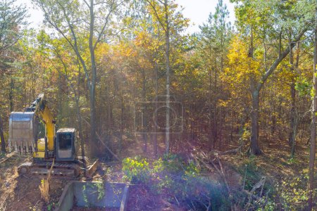 Téléchargez les photos : Pelle tracteur est utilisé pour déraciner les arbres en préparation de la construction - en image libre de droit