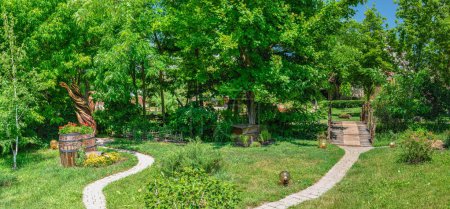 Téléchargez les photos : Dobroslav, Ukraine 06.17.2023. Parc de chants forestiers à Dobroslav, région d'Odessa, Ukraine, par une journée ensoleillée d'été - en image libre de droit