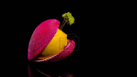 Photo for Creative still life with lemon and shells on a black background - Royalty Free Image