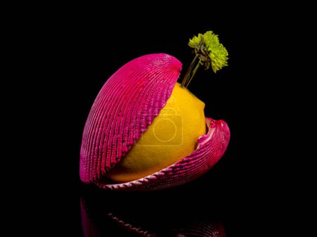 Photo for Creative still life with lemon and shells on a black background - Royalty Free Image