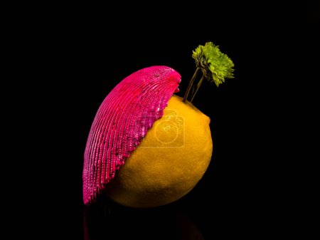 Photo for Creative still life with lemon and shell on a black background - Royalty Free Image