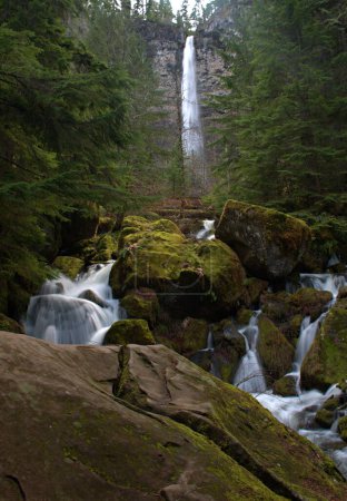 Photo for Watson Falls, Watson Creek, Idleyld Park, Oregon - Royalty Free Image