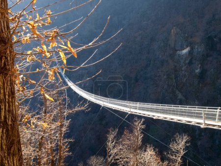 Sementina, Suiza: Puente colgante sobre el valle
