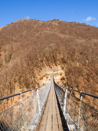 Sementina, Suisse : Pont suspendu au-dessus de la vallée
