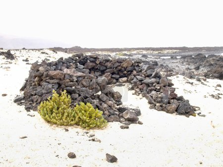 Lanzarote, Spain: Caleta del Mojn Blanco, white sand and lava rocks