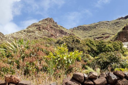 El Bailadero, Tenerife, España: Mirador El Balaidero con panorama de la isla