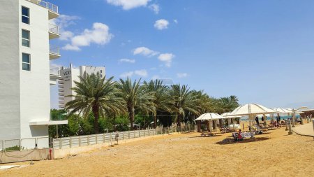 Foto de Hoteles en Israel en la costa de la playa del mar muerto, palmeras y arena amarilla, paisaje de viajes de temporada de verano. Foto de alta calidad - Imagen libre de derechos