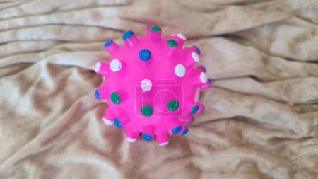 pink rubber plastic ball with sgpikes, animal toy. High quality photo