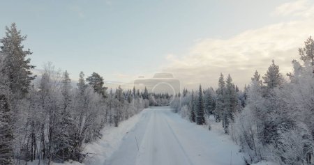 Snow-Covered Forest Path - Aerial View in Lapland, Finland. High quality 4k footage