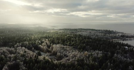 Autumns Final Whisper: Late Fall Aerial Vista of Botanical Bays Frosted Shoreline. High quality 4k footage