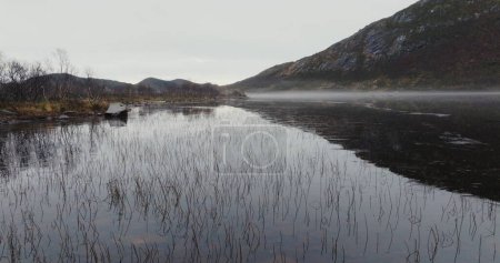 Whispering Waters: Serenity Unveiled at Dawn in Svolvaer. High quality 4k footage
