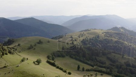 Dappled Light Over Carpathian Mountain Pastures and Woodlands. High quality 4k footage
