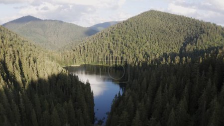 Aerial View of the Pristine Lake Synevyr in the Ukrainian Carpathians. High quality 4k footage