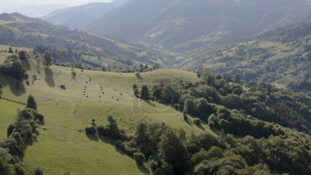zoom en tiempo real en vista aérea de pintoresco paisaje rural con montañas valle prado árboles verdes con sombra y carretera motorizable a la luz del día soleado