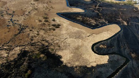 Luftaufnahme eines mäandernden Flusses durch ein verbranntes Grasland nach einem Brand. Hochwertiges 4k Filmmaterial