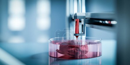 Foto de Bioprint 3d - el concepto de órganos de impresión para trasplantes en impresoras 3d. el futuro del trasplante, 3d render. - Imagen libre de derechos