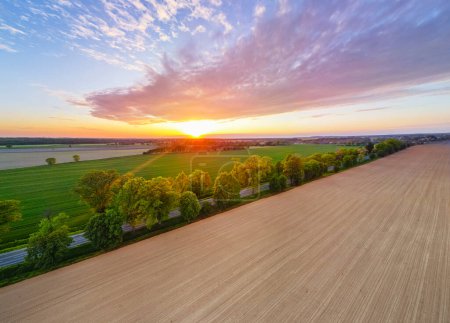 Vue aérienne de la route à travers les champs, un côté herbe luxuriante, l'autre côté préparé pour l'ensemencement. Drone shot capture paysage rural au coucher du soleil.