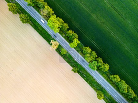 Téléchargez les photos : Vue aérienne de la route à travers les champs, un côté herbe luxuriante, l'autre côté préparé pour l'ensemencement. Drone shot capture paysage rural. - en image libre de droit