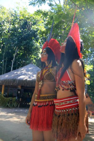 Téléchargez les photos : Porto seguro, bahia, brésil - 1er août 2023 : Etina Pataxo Indiens vus lors du festival Aragwaka dans le village de Jaqueira dans la ville de Porto Seguro. - en image libre de droit