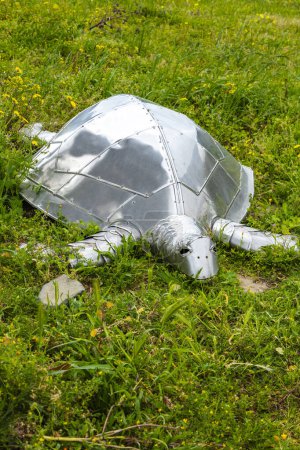 metal turtle lies in the grass