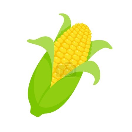 Téléchargez les illustrations : Oreilles de maïs pelées. maïs vecteur fruits jaunes - en licence libre de droit