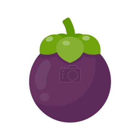 Illustration for Purple mangosteen sweet tropical fruit - Royalty Free Image