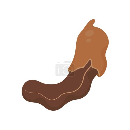 Illustration for Sweet tamarind. A healthy fruit that is high in fiber. Help the digestive system for vegetarians - Royalty Free Image