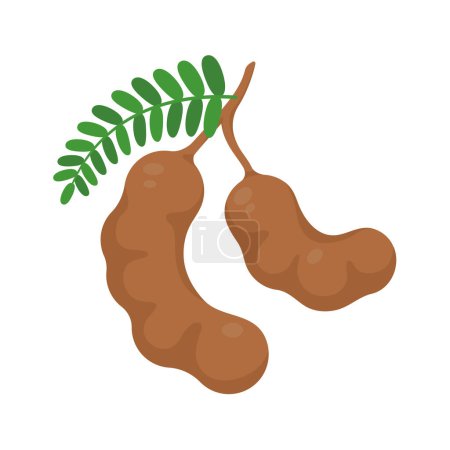 Illustration for Sweet tamarind. A healthy fruit that is high in fiber. Help the digestive system for vegetarians - Royalty Free Image