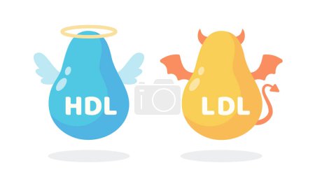 Illustration for HDL and LDL cholesterol cartoon. Good fat and bad fat accumulated in the body. - Royalty Free Image
