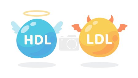 Illustration for HDL and LDL cholesterol cartoon. Good fat and bad fat accumulated in the body. - Royalty Free Image