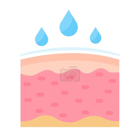 Illustration for Human skin layer Caring for protecting the skin from the sun with a skin serum. - Royalty Free Image