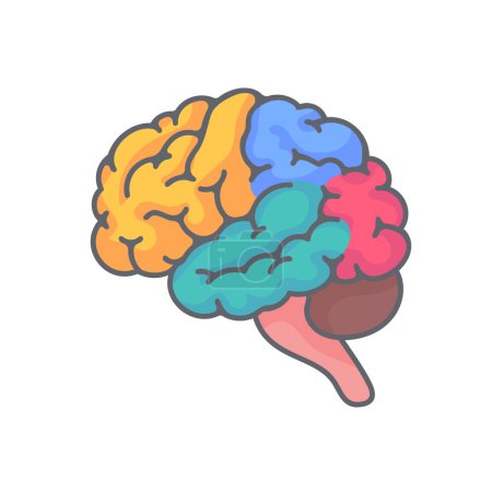 Ilustración de Cerebro humano irregular. El concepto de desarrollo de habilidades de aprendizaje y creatividad. - Imagen libre de derechos