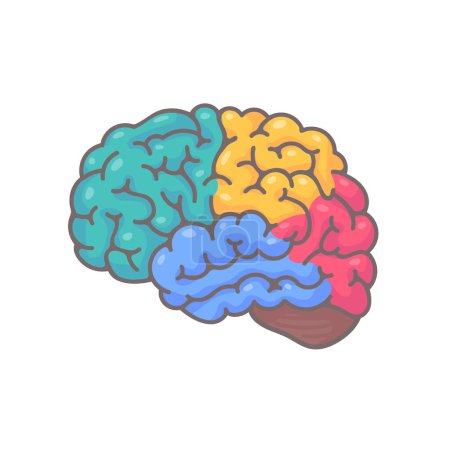 Ilustración de Cerebro humano irregular. El concepto de desarrollo de habilidades de aprendizaje y creatividad. - Imagen libre de derechos