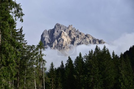 Téléchargez les photos : Les rochers pointus de Picco Vallandro s'élèvent des nuages de vapeur dans la forêt - en image libre de droit