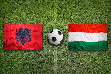 Albanien vs. Ungarn Fahnen auf grünem Fußballplatz