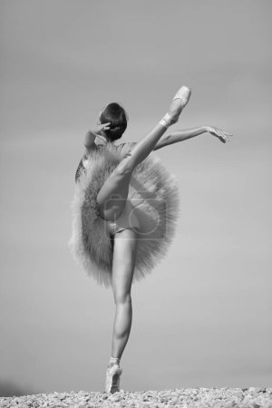 Foto de Slim sexy mujer bailarina en blanco tutú - Imagen libre de derechos