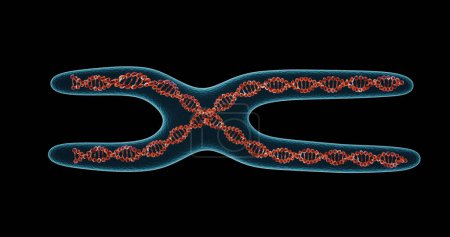 DNA-Molekülstruktur Hintergrund. Chromosom. 3D-Renderer