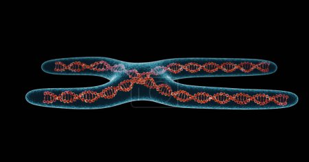 Fondo de estructura de moléculas de ADN. Cromosoma. Renderizado 3D