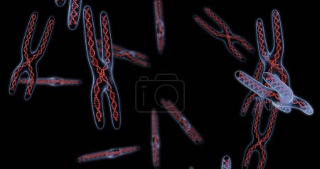 Fondo de estructura de moléculas de ADN. Cromosoma. Renderizado 3D