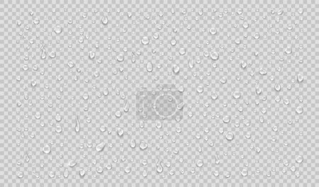 Set of isolated water drops on transparent background. Realistic vector illustration
