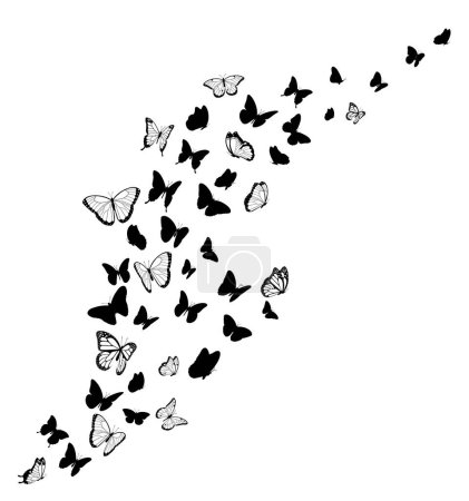 Téléchargez les illustrations : Silhouettes papillon noir. Élément de conception vectorielle - en licence libre de droit