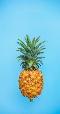 Photo for Pineapple on a blue background. - Royalty Free Image