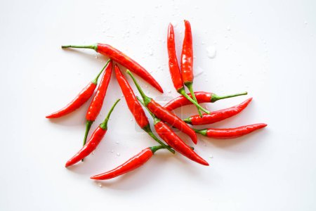 Photo for Red hot chili peppers on white background - Royalty Free Image
