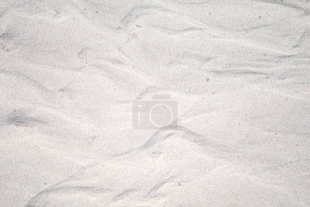 Foto de Textura de arena con espuma blanca. - Imagen libre de derechos